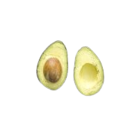 Avocado (kg)